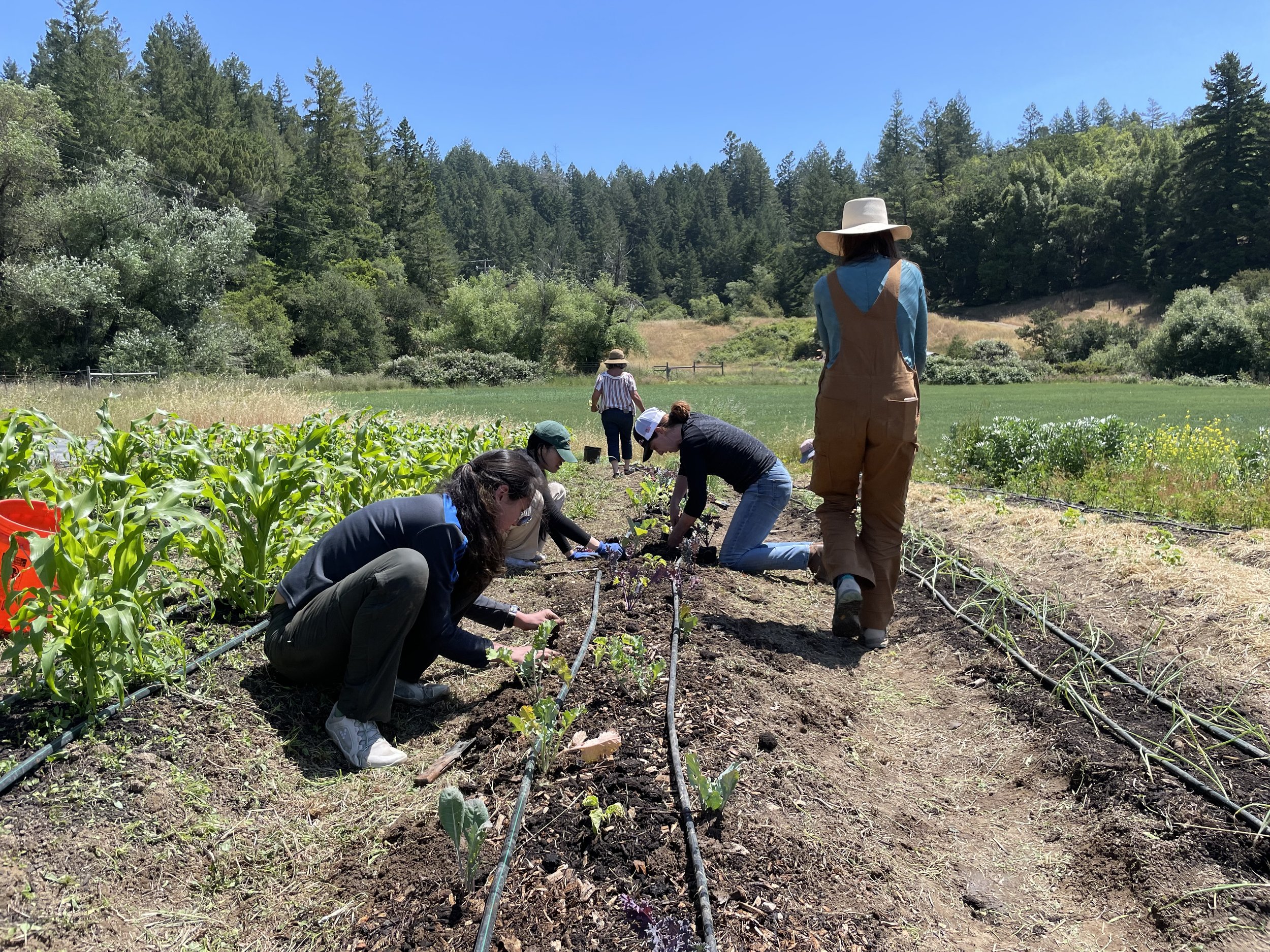 Climate Farm School