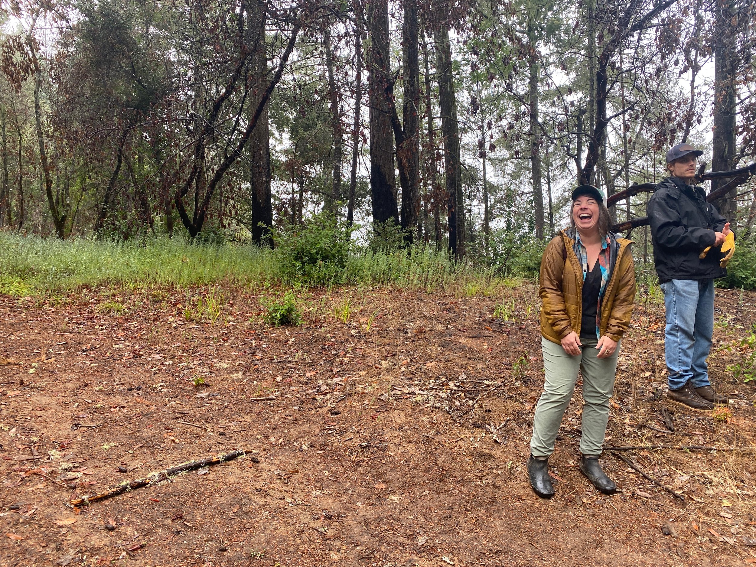 Resilient Forest Series