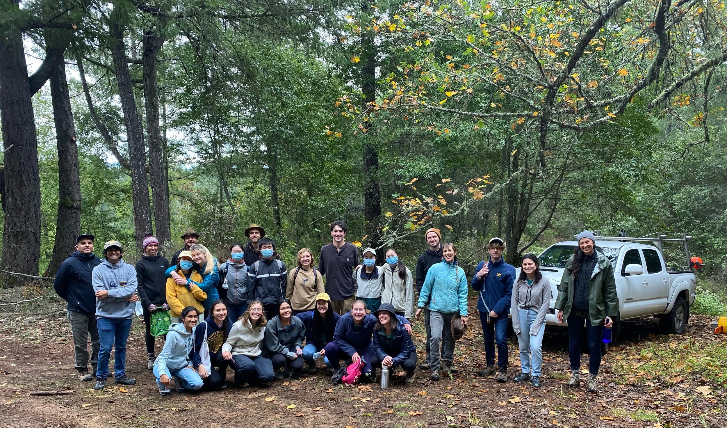 Resilient Forest Series