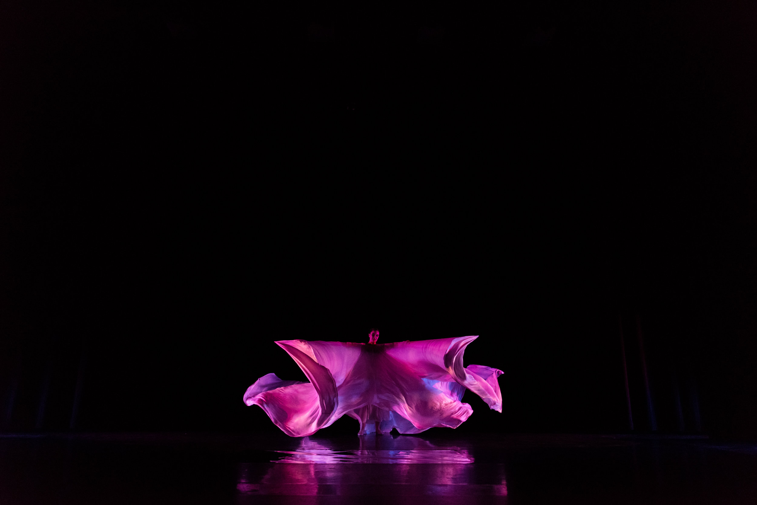 Performances