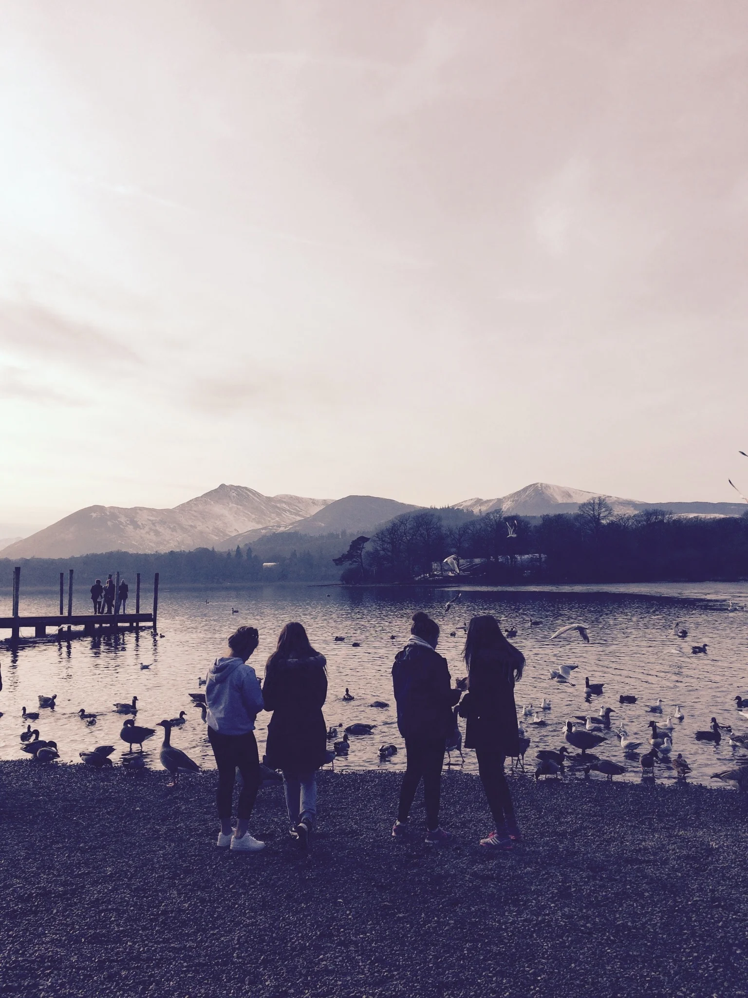 Castlerigg Manor Residential