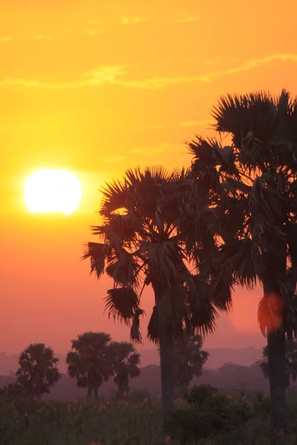 Murchison National Park March 2011 011.JPG