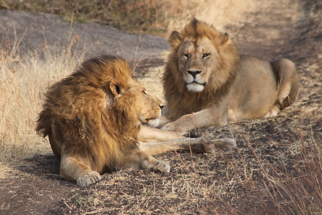 NT MASWA 5 Aug 2013  (21).JPG