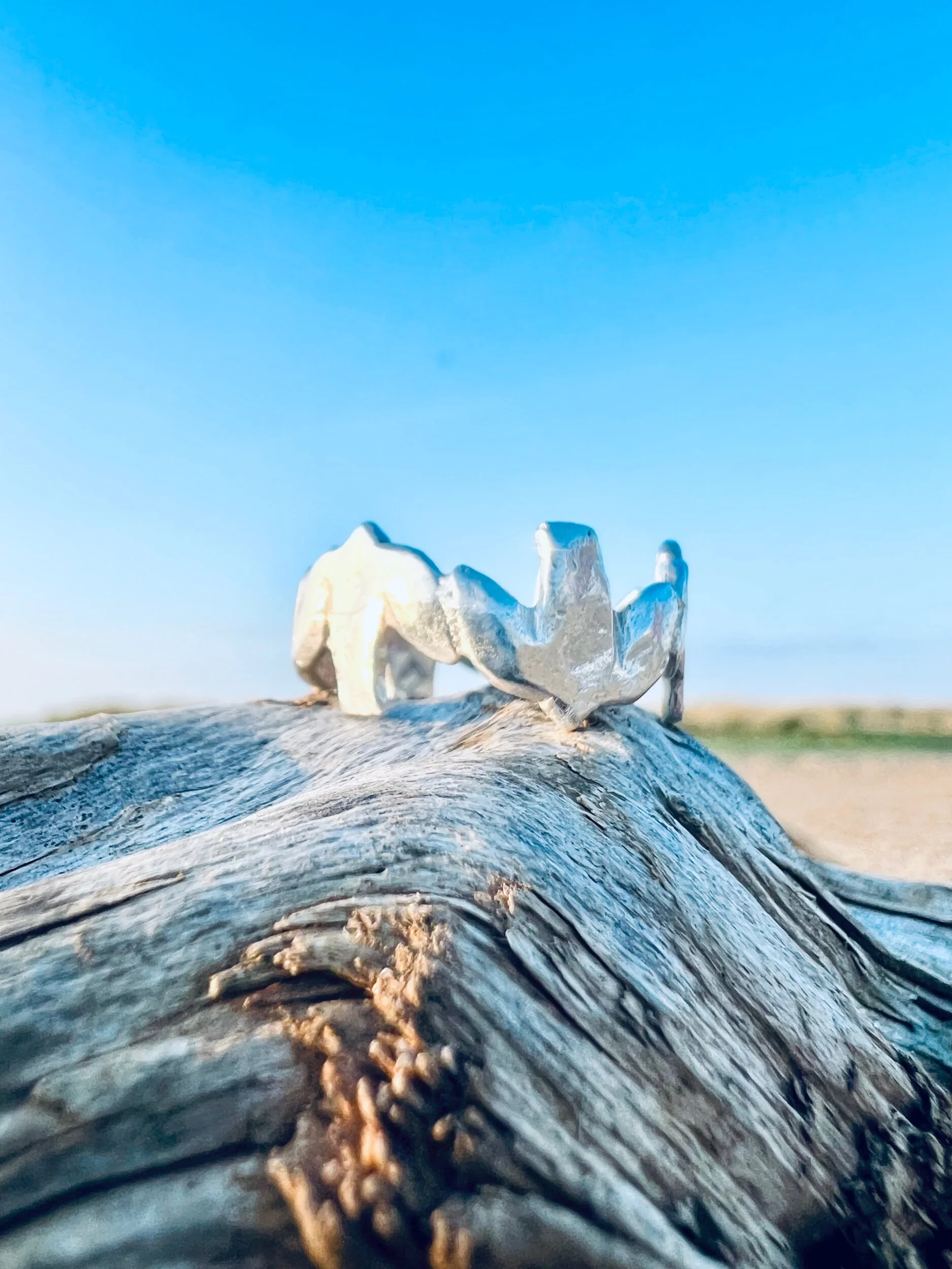 7FB2CE17-C91A-4B5D-A55D-86A87D9F4994