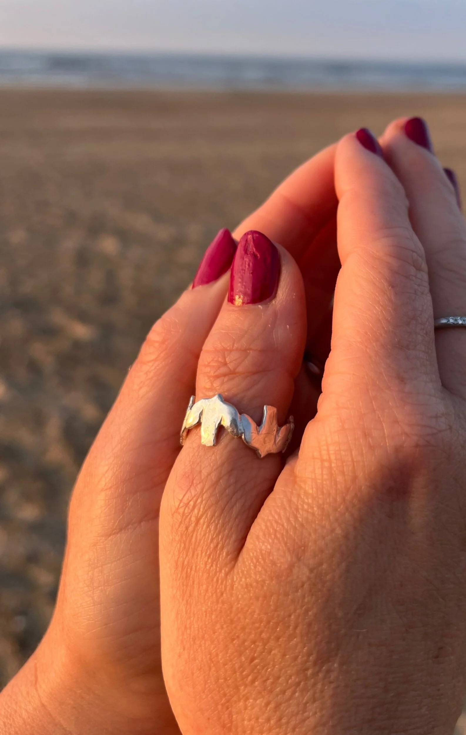 4C53EF48-DD88-4C50-8F06-DEF53F074484