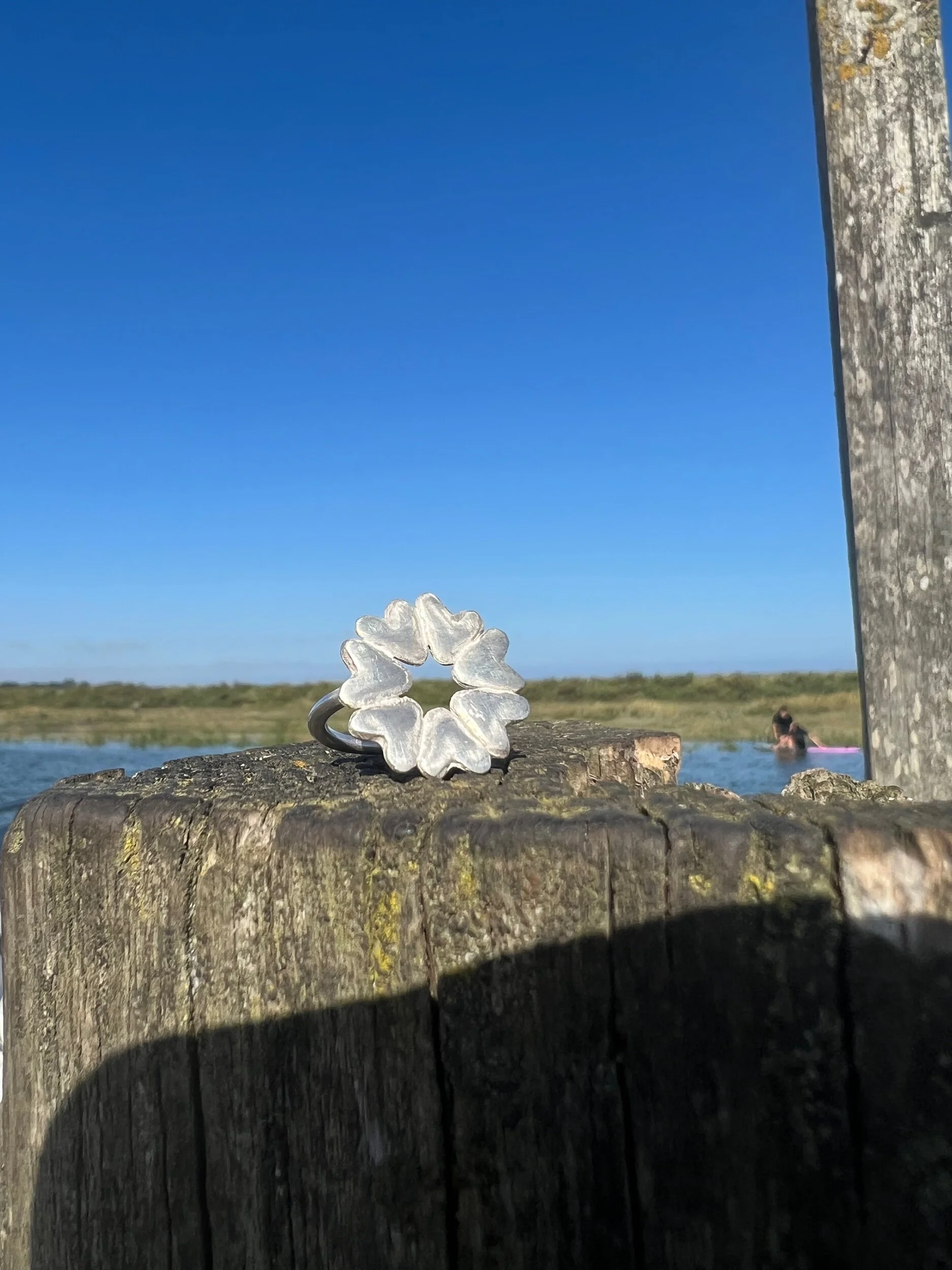 1469A7C8-0764-4F2E-863F-10221BCC2AF3