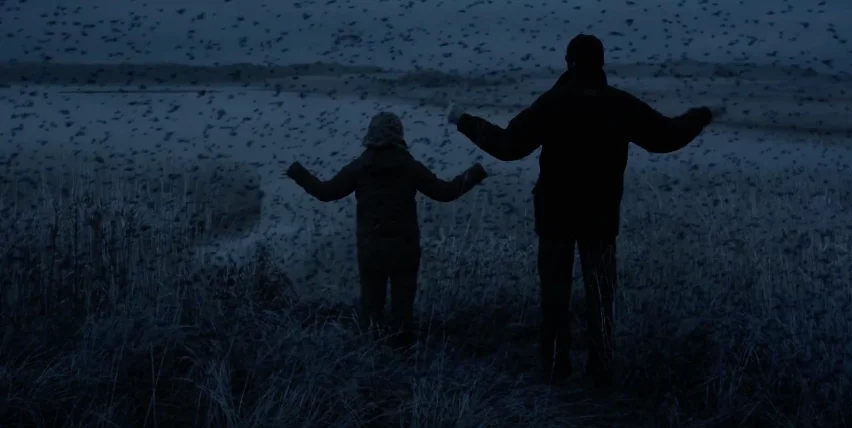 Murmuration & Improvisation