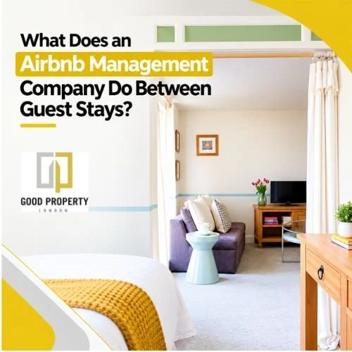 What Does an Airbnb Management Company Do Between Guest Stays?