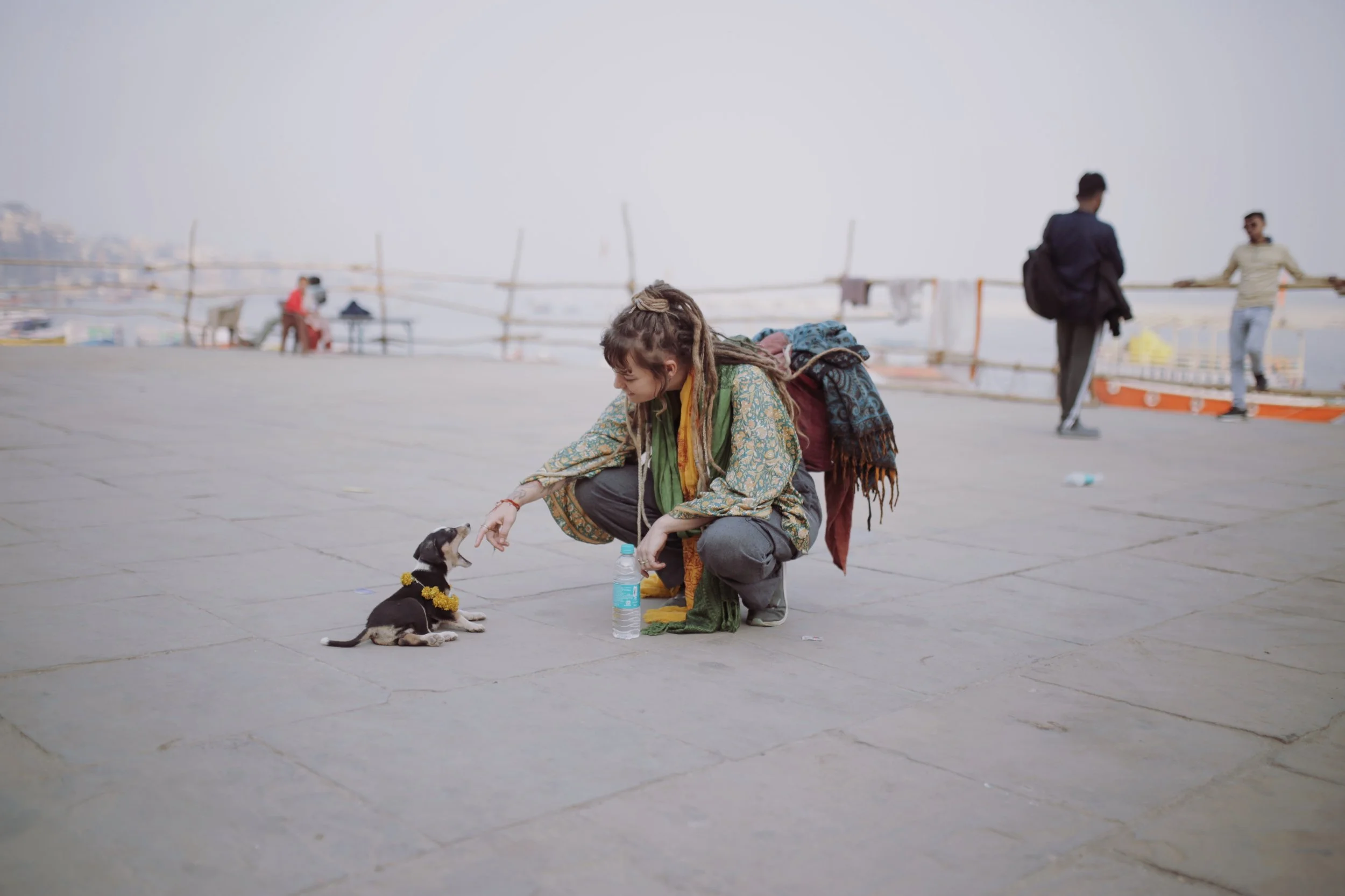 paul alone india raven.JPG