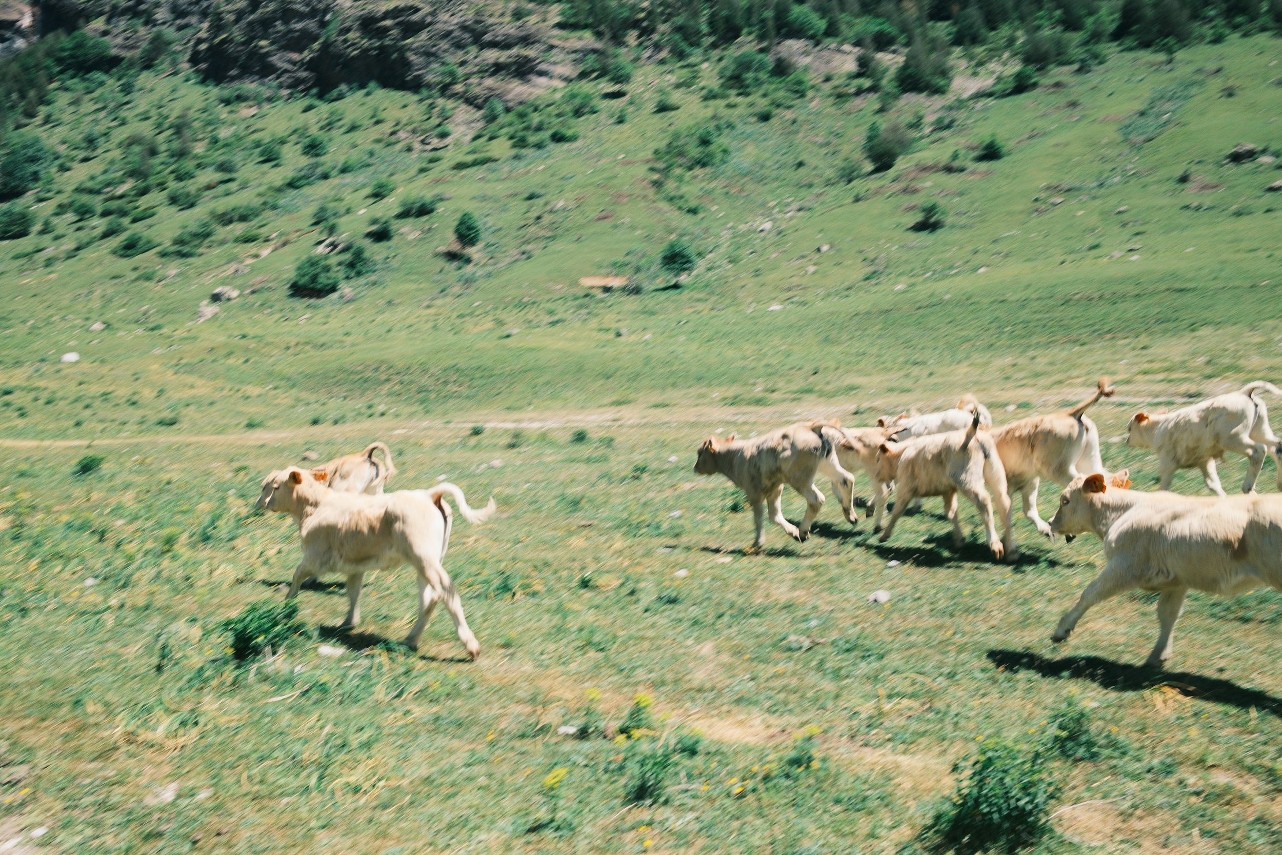 DSCF2572.JPG