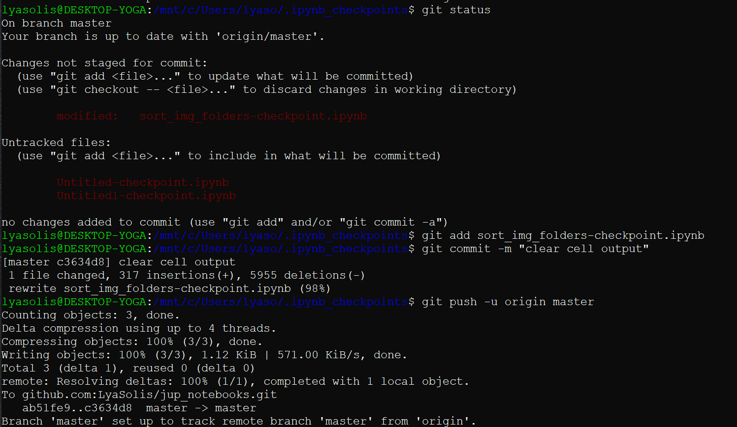 Publish Jupyter Notebook on Github - Step by step walk-through — Lya Solis