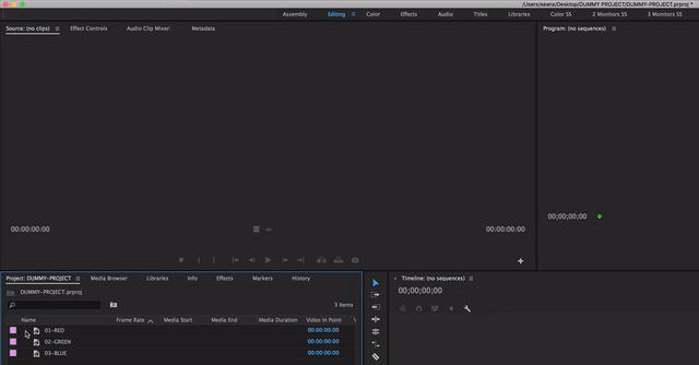 Drag and drop multiple clips on the Source monitor.