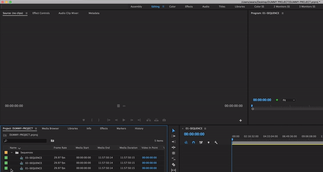 Open multiple sequences in the Source monitor.