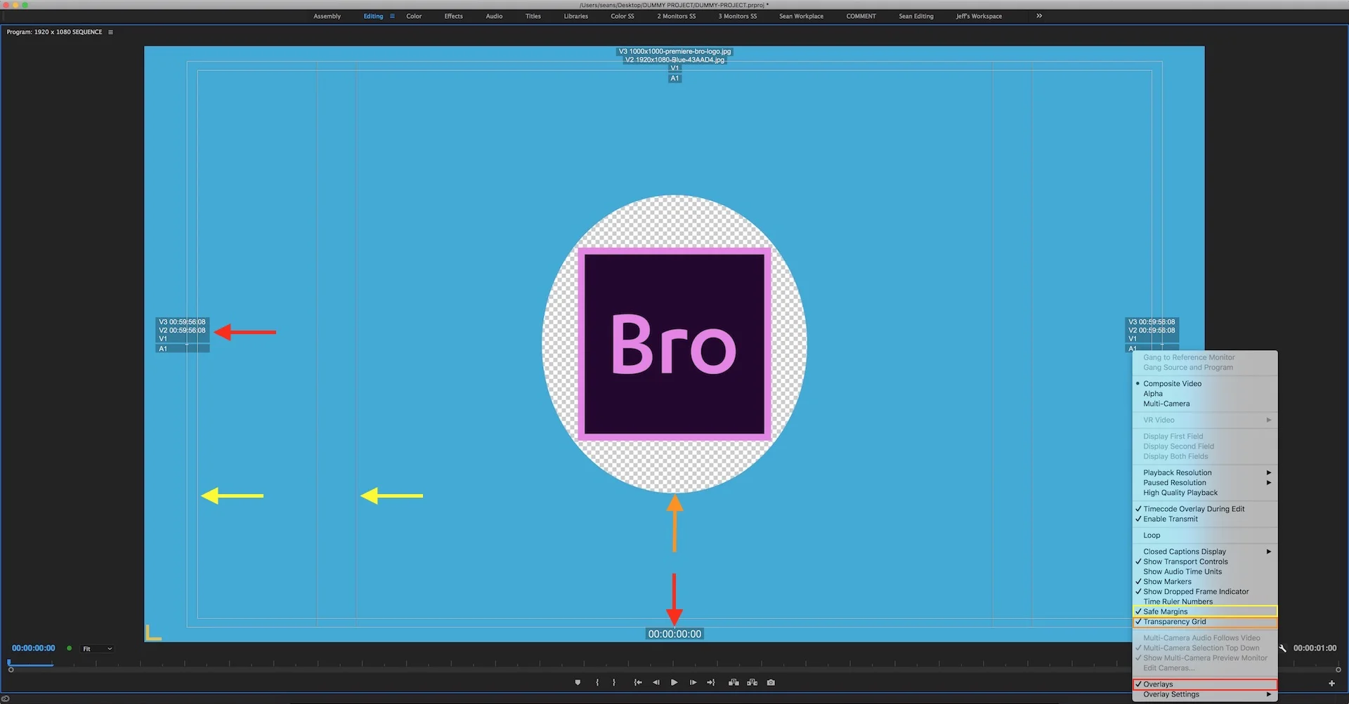 premiere show meaning