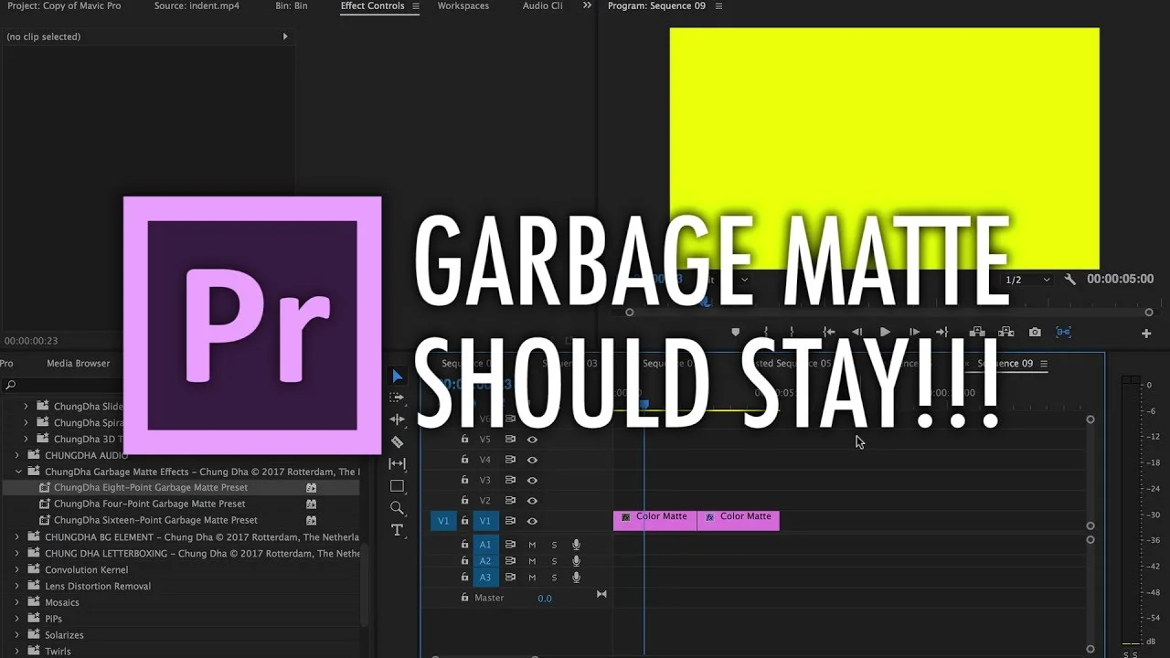 Chung Dha: Garbage Matte Effect Should Stay / Return in Adobe Premiere Pro (Free Preset)