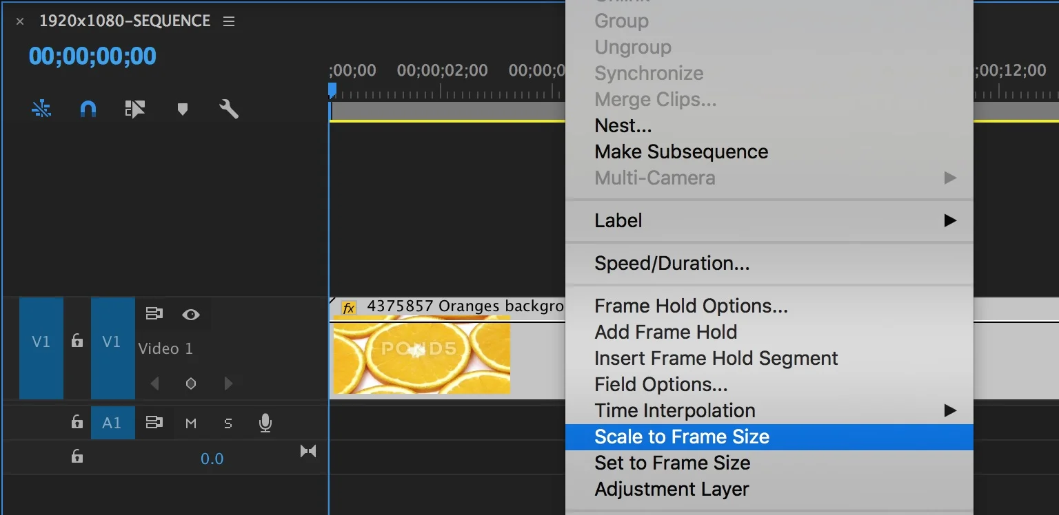 scale-to-frame-size-pond5-premiere-pro.jpg