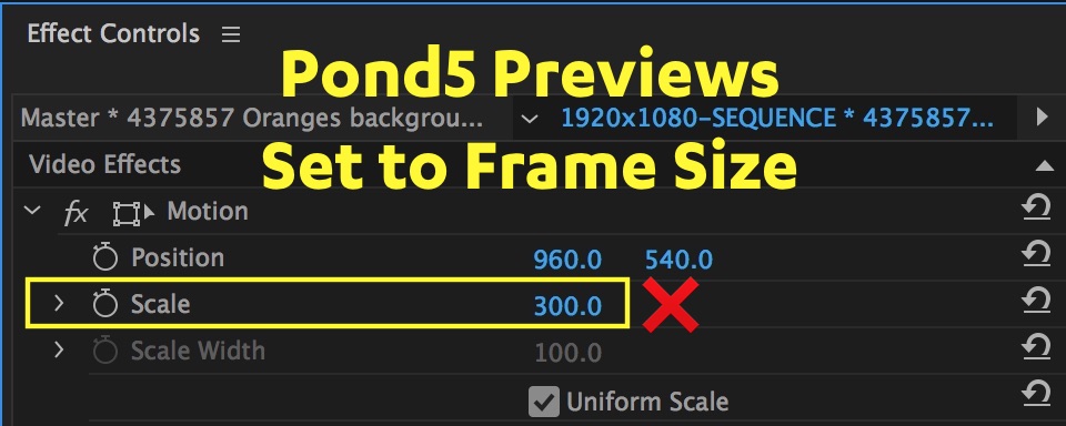 set-to-frame-size-value-pond5-premiere-pro.jpg