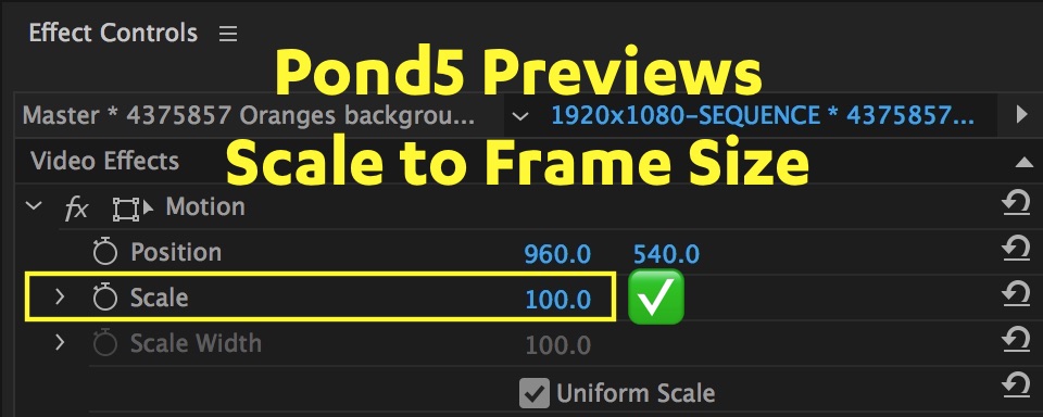 scale-to-frame-size-value-pond5-premiere-pro.jpg