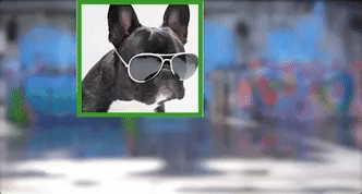 scale-video-in-frame-premiere-pro.gif