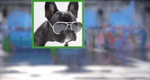 VideoRevealed: Scale a Video Inside a Frame in Adobe Premiere Pro