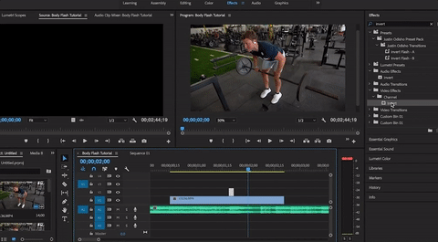 How to Create an Animated GIF in Premiere Pro 