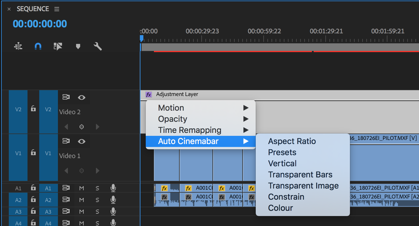 Apple Auto Cinemabar to an Adjustment layer above your edit