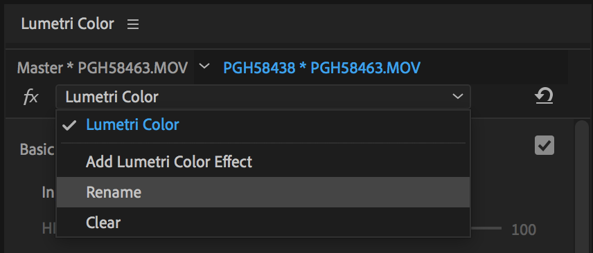 rename-lumetri-color-effect-premiere-pro-cc-2019.png