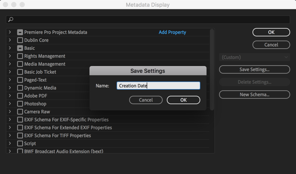 save-metadata-settings-premiere-pro-1.png