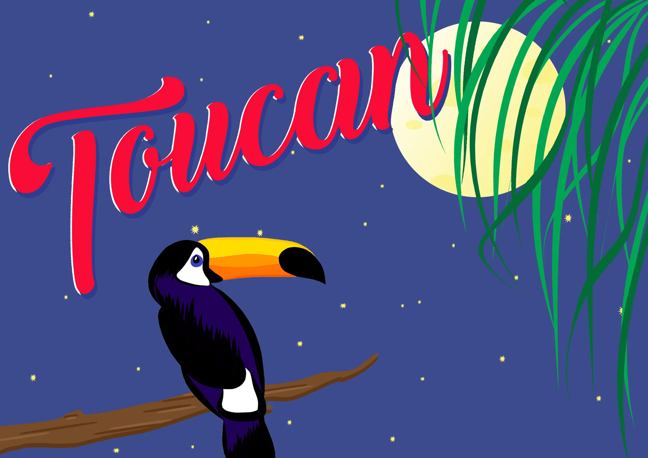 toucan scene.jpg