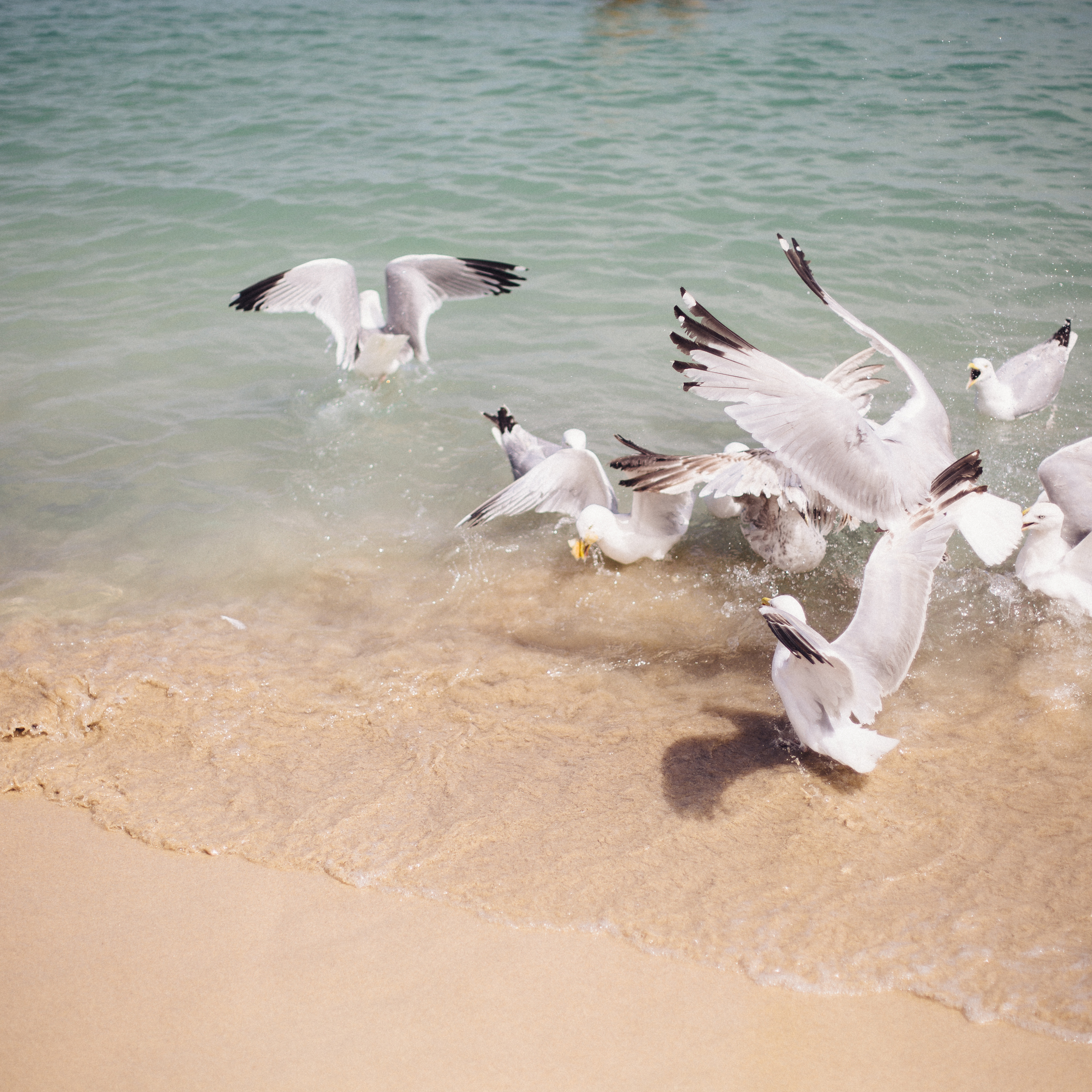 St Ives 2016-20.jpg
