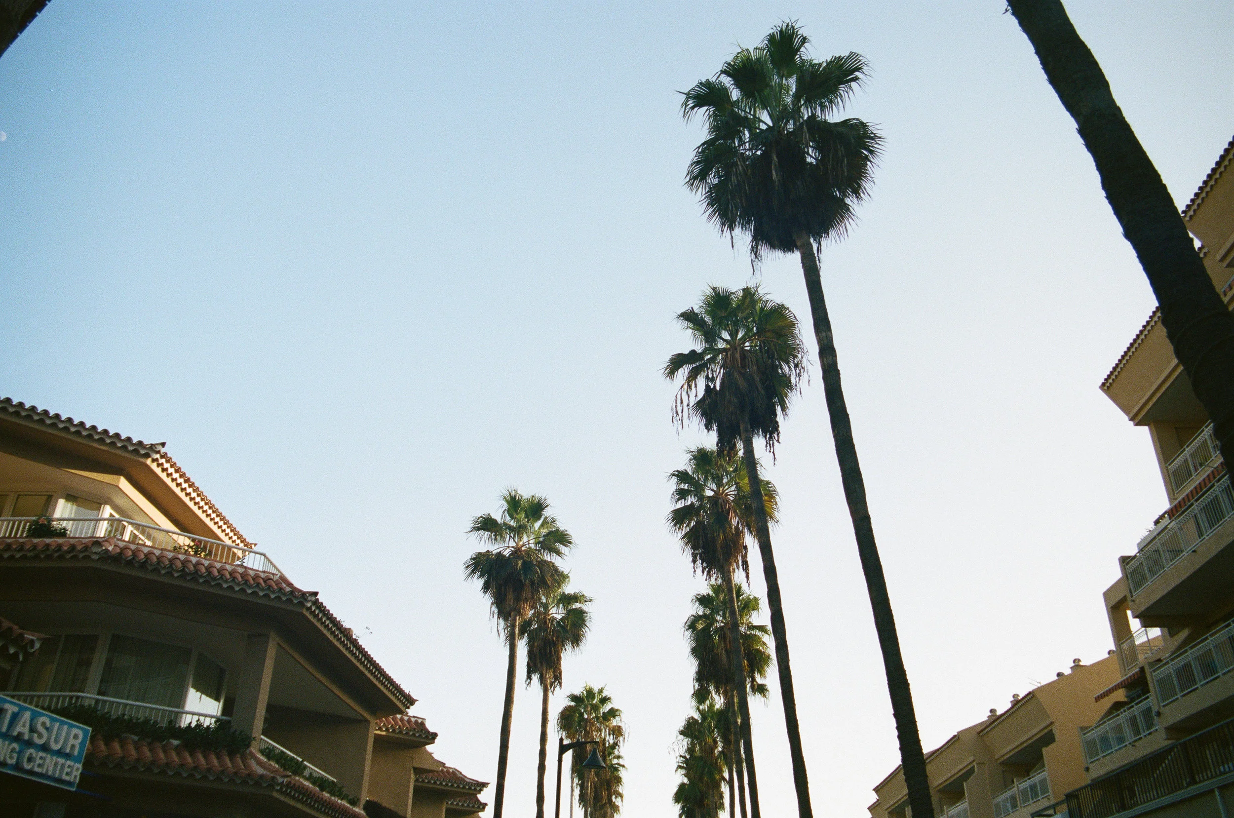 Teneriffe- olympus om10-7.jpg