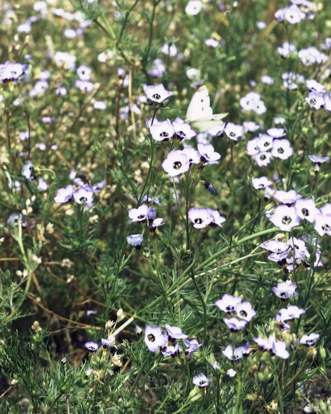 #whereishome⠀
The train to Rotterdam will depart in ten minutes. Shahzadi and Kamelah have tears in their eyes. They both give me a strong hug, ask me to return as soon as possible. ⠀
My uncle is quiet, tells me to be careful. My aunt gives me bag fu
