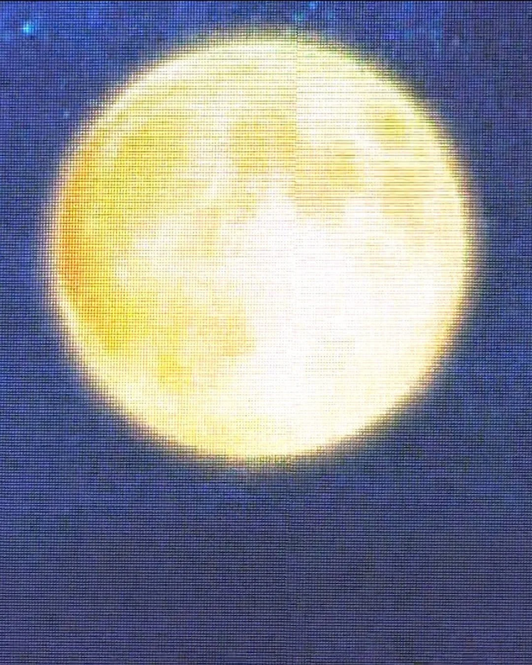 #whereishome⠀
The sweet smell of #qabuli brings tears to my eyes. I swallow down morsels of rice, carrots and lamb. It's my first warm meal in a week. After consuming a huge amount of food, my body starts to tingle. Suddenly, I feel extremely tired.