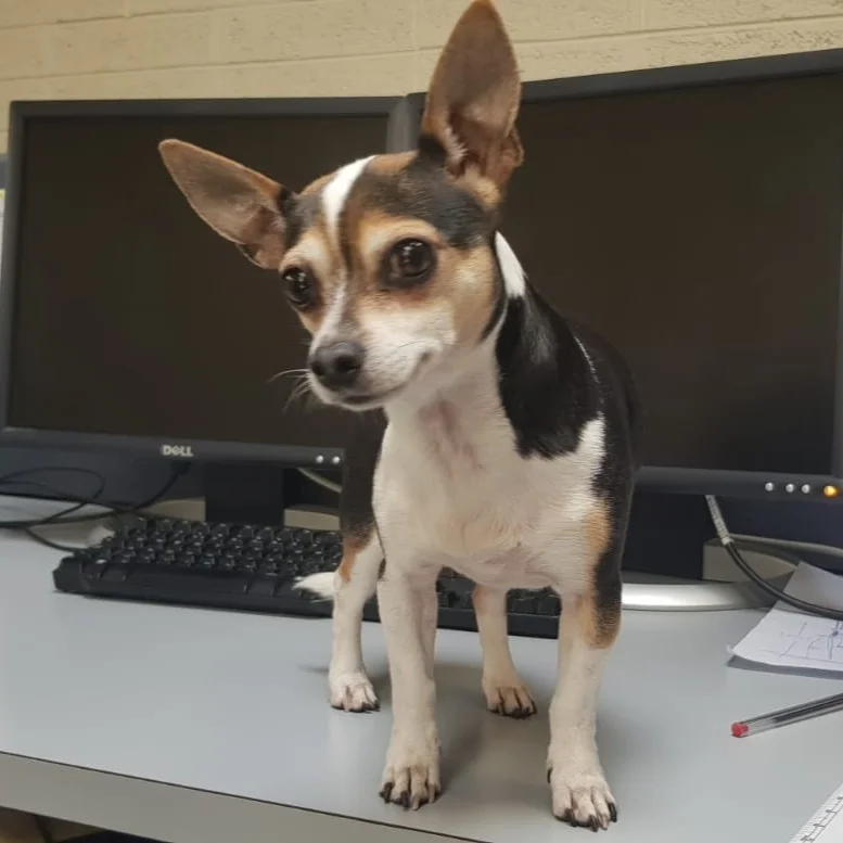 theo+office+1.jpg