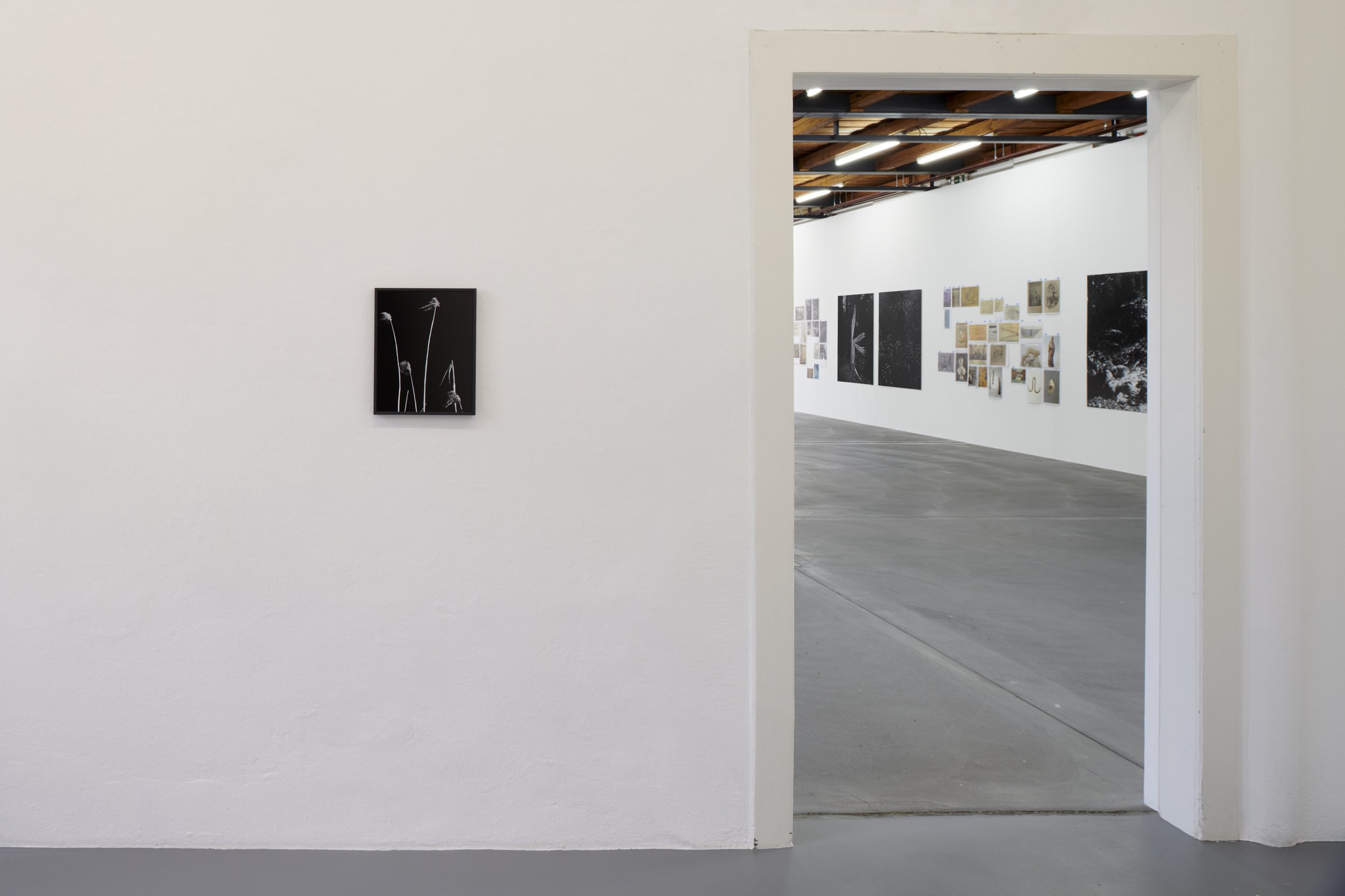 14_Exhibition view, Cécile Monnier, des nuits sans silence, Kunsthalle Friart Fribourg, 2022. Photo Guillaume Python.jpg