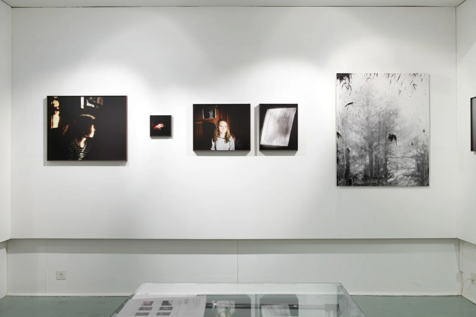 galerie-librairie Focale Nyon Prix Focale 2017 solo show
