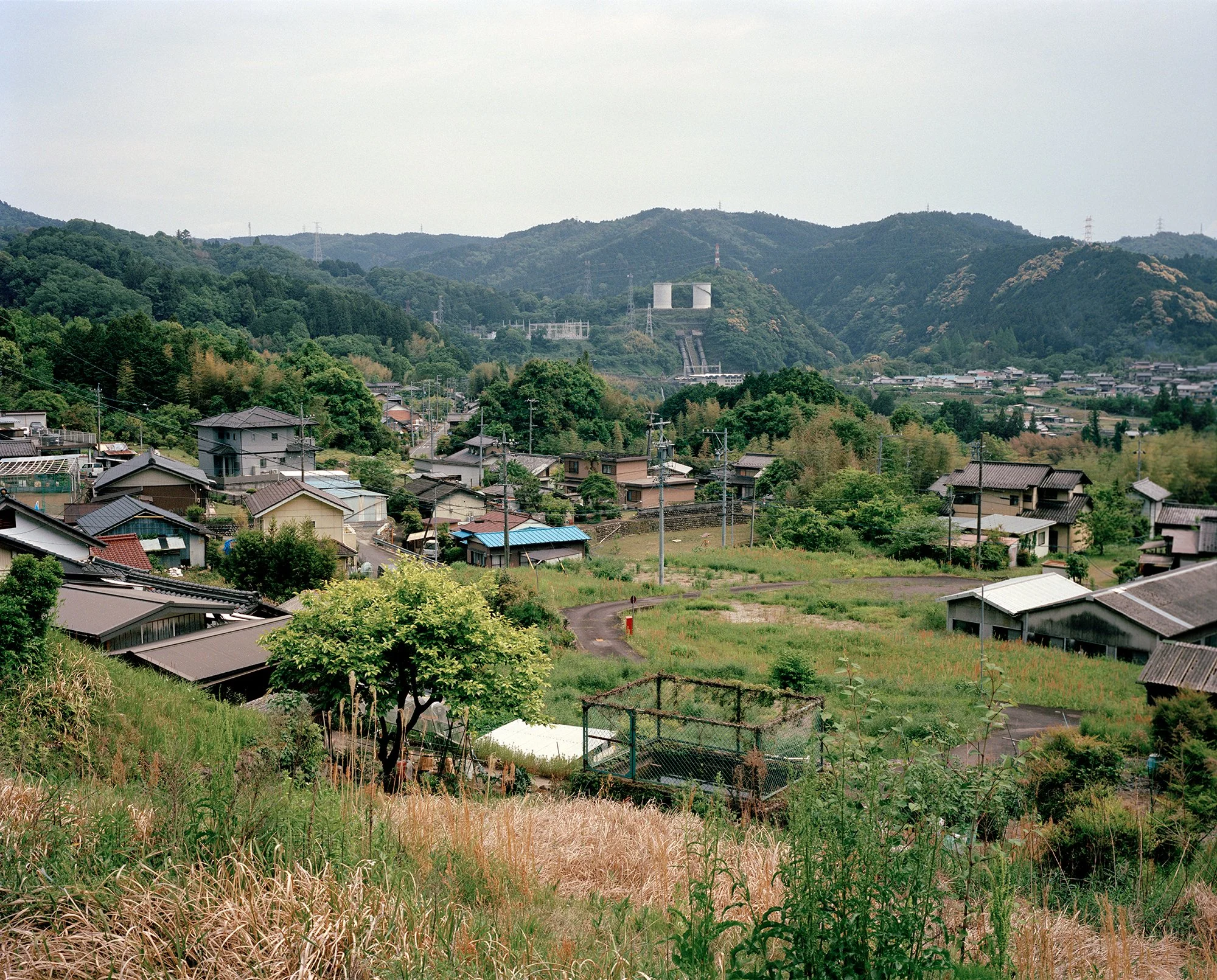 Lone_Islands_85.jpg