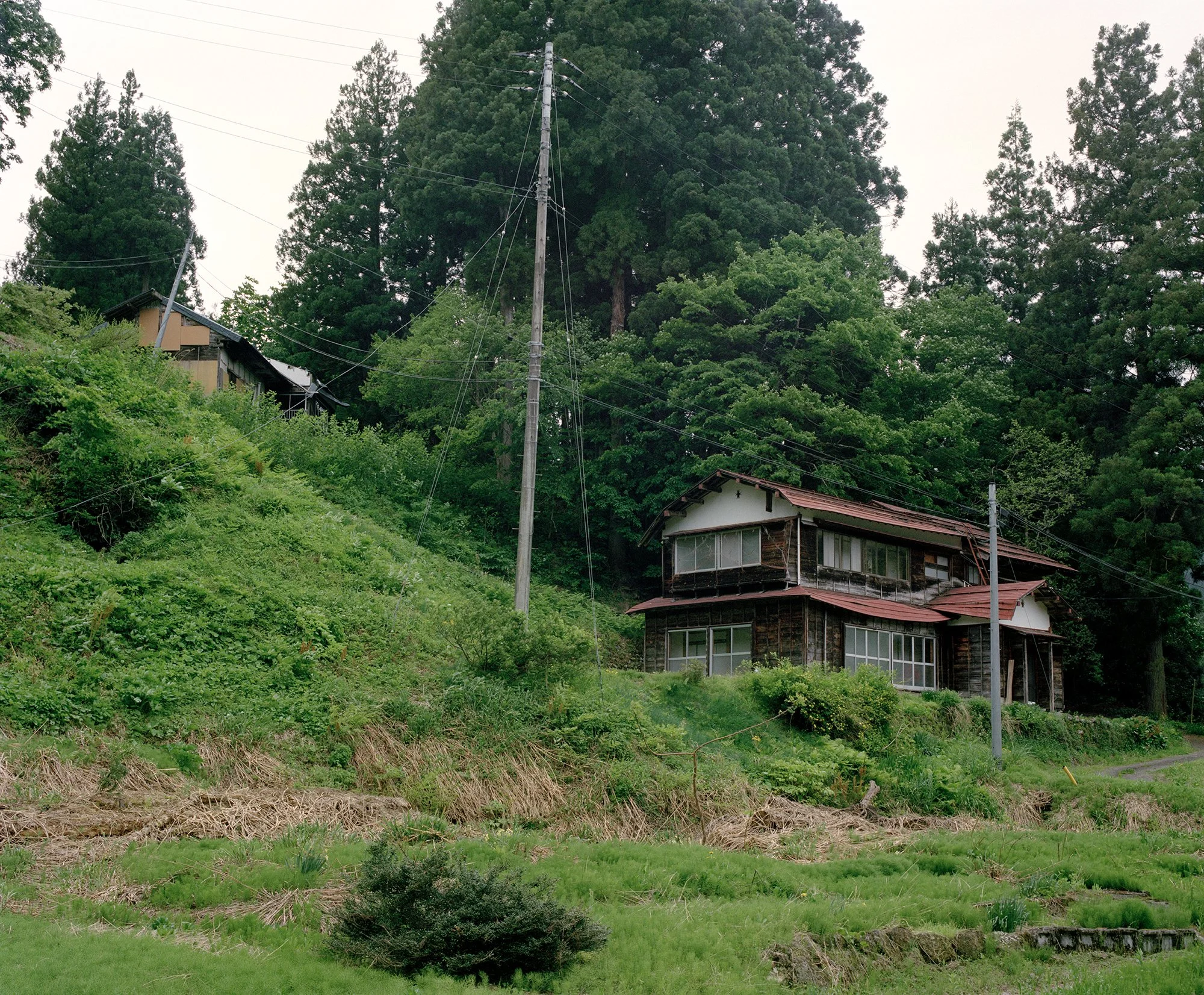 Lone_Islands_86.jpg