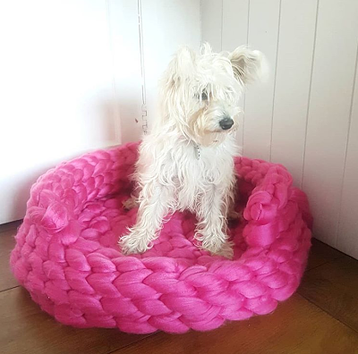 Alice the Westipoo chunky blanket dog cat basket opt.png