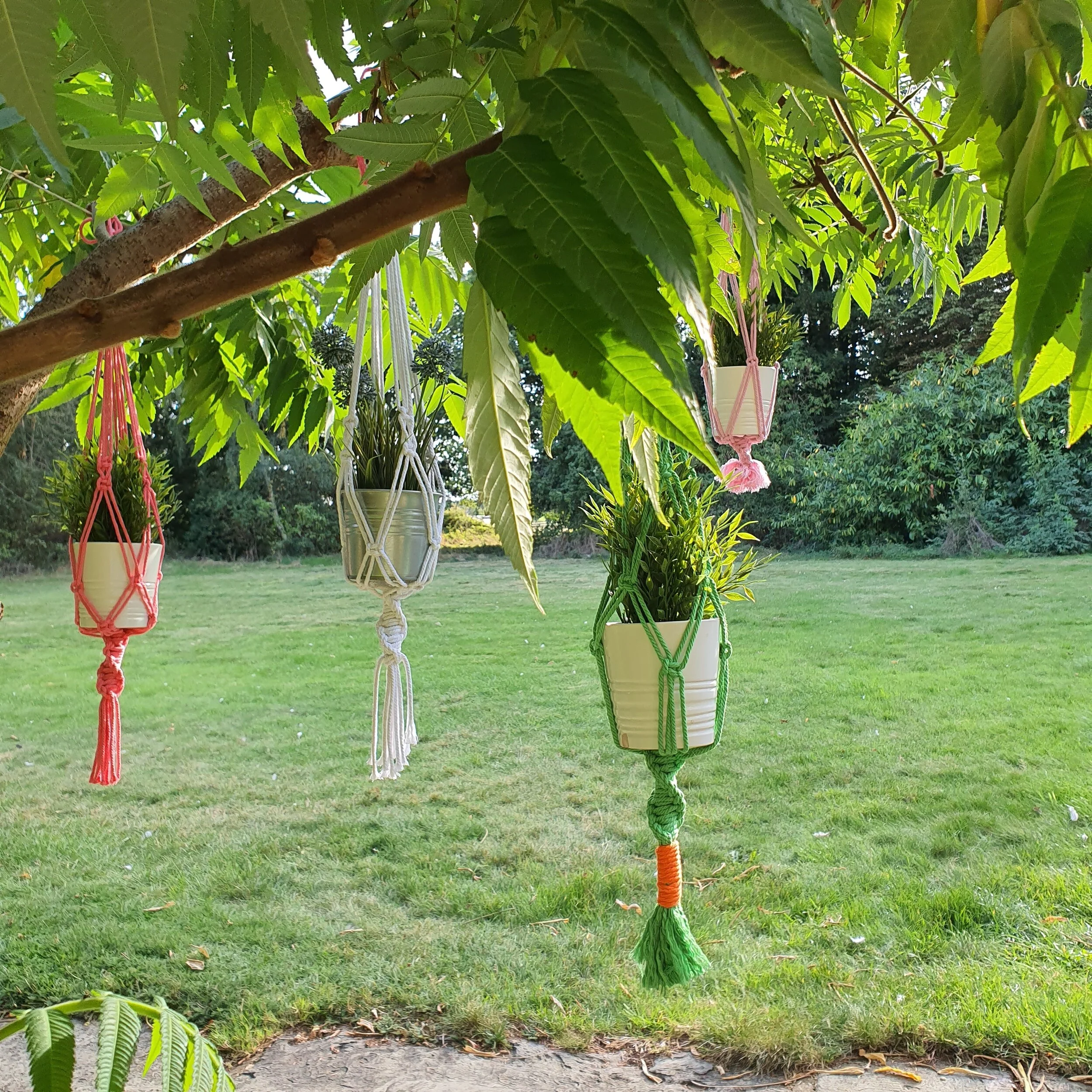 Macrame plant hangers.jpg