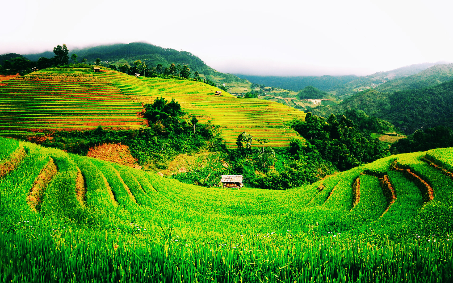 Vietnam hoteis e roteiros de viagem 