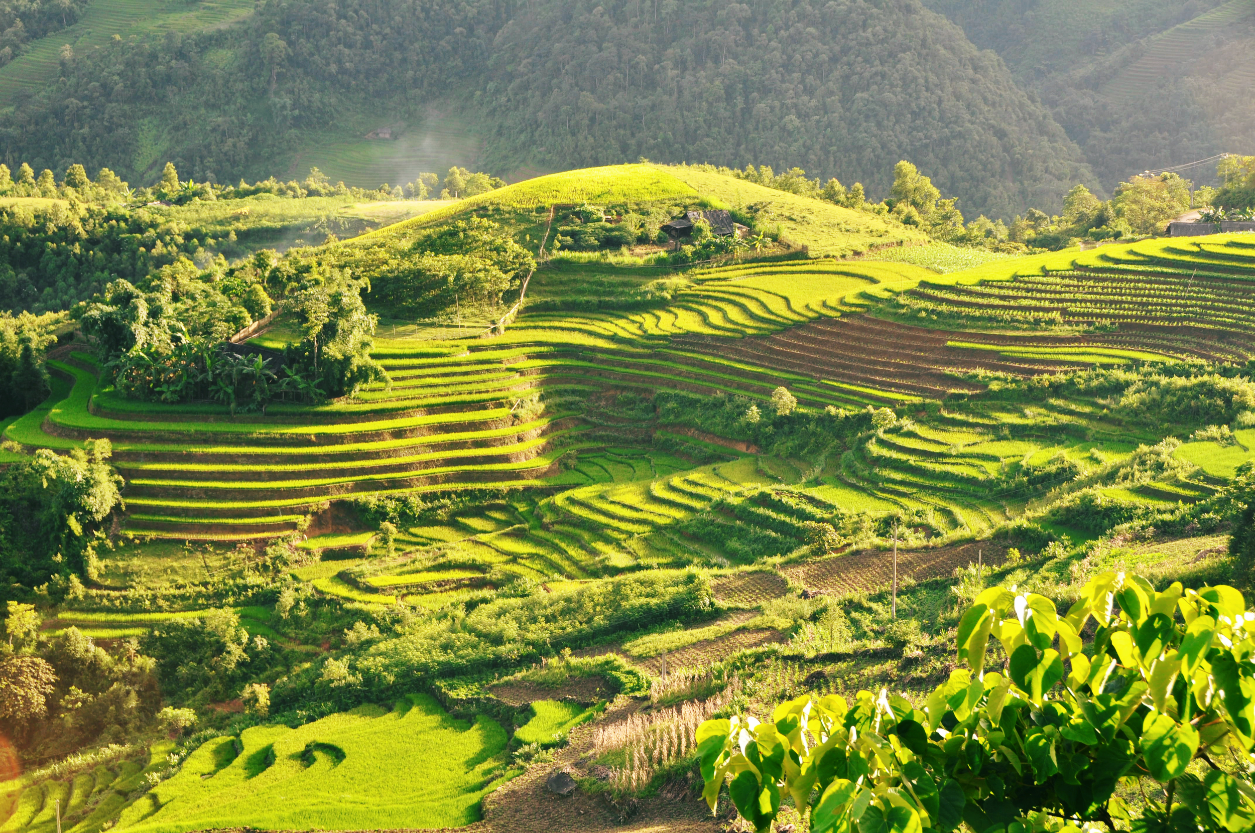 Vietnam hoteis e roteiros de viagem 