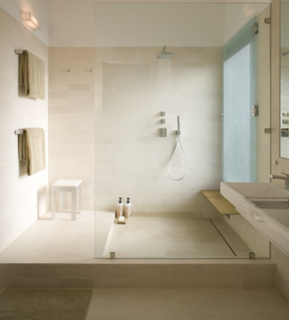 BATHROOM 054,  FLAT PAN SHOWER 01.PNG