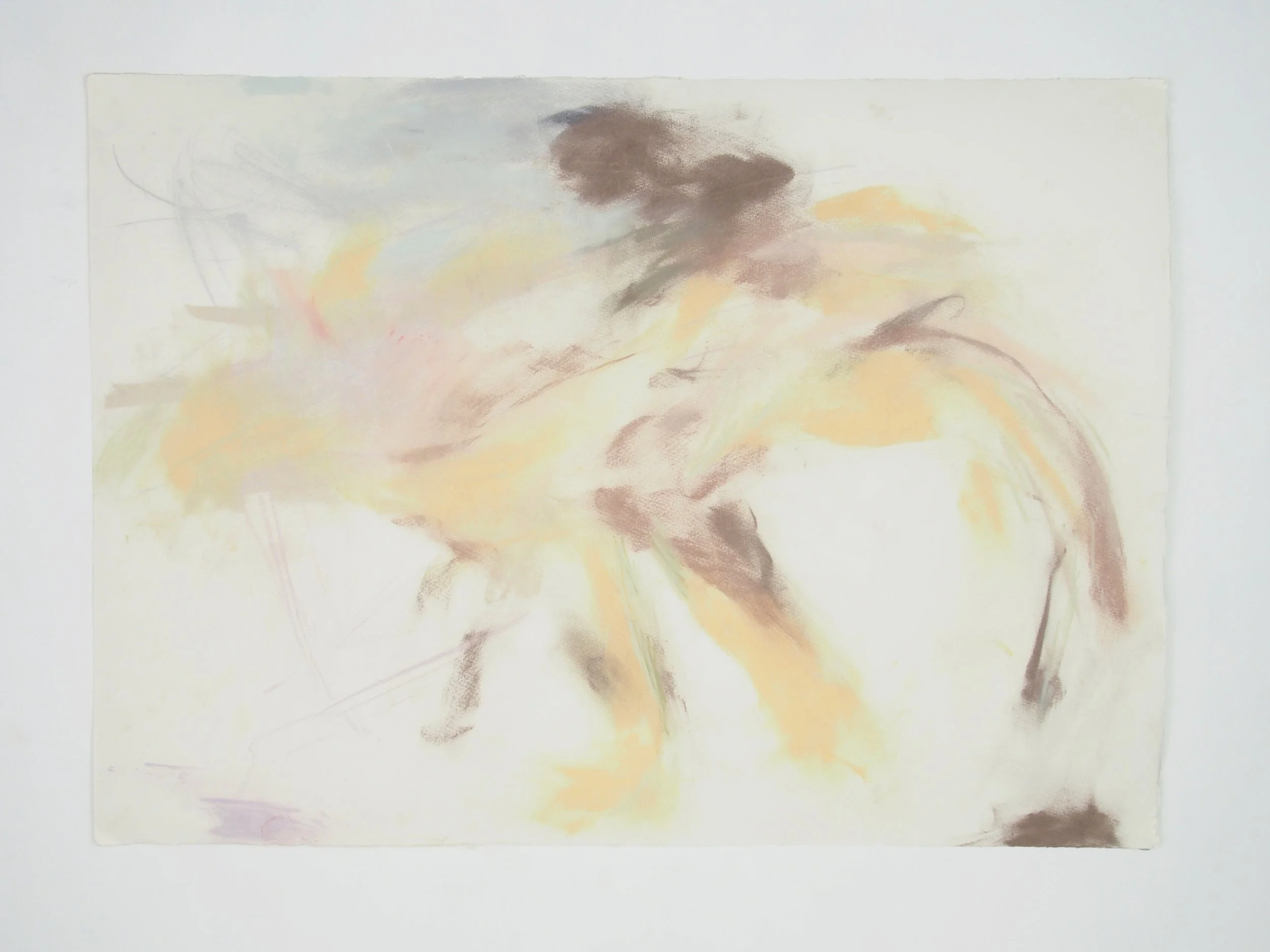 Where grass pickerel scissor through_45 x 63cm_2024.JPG