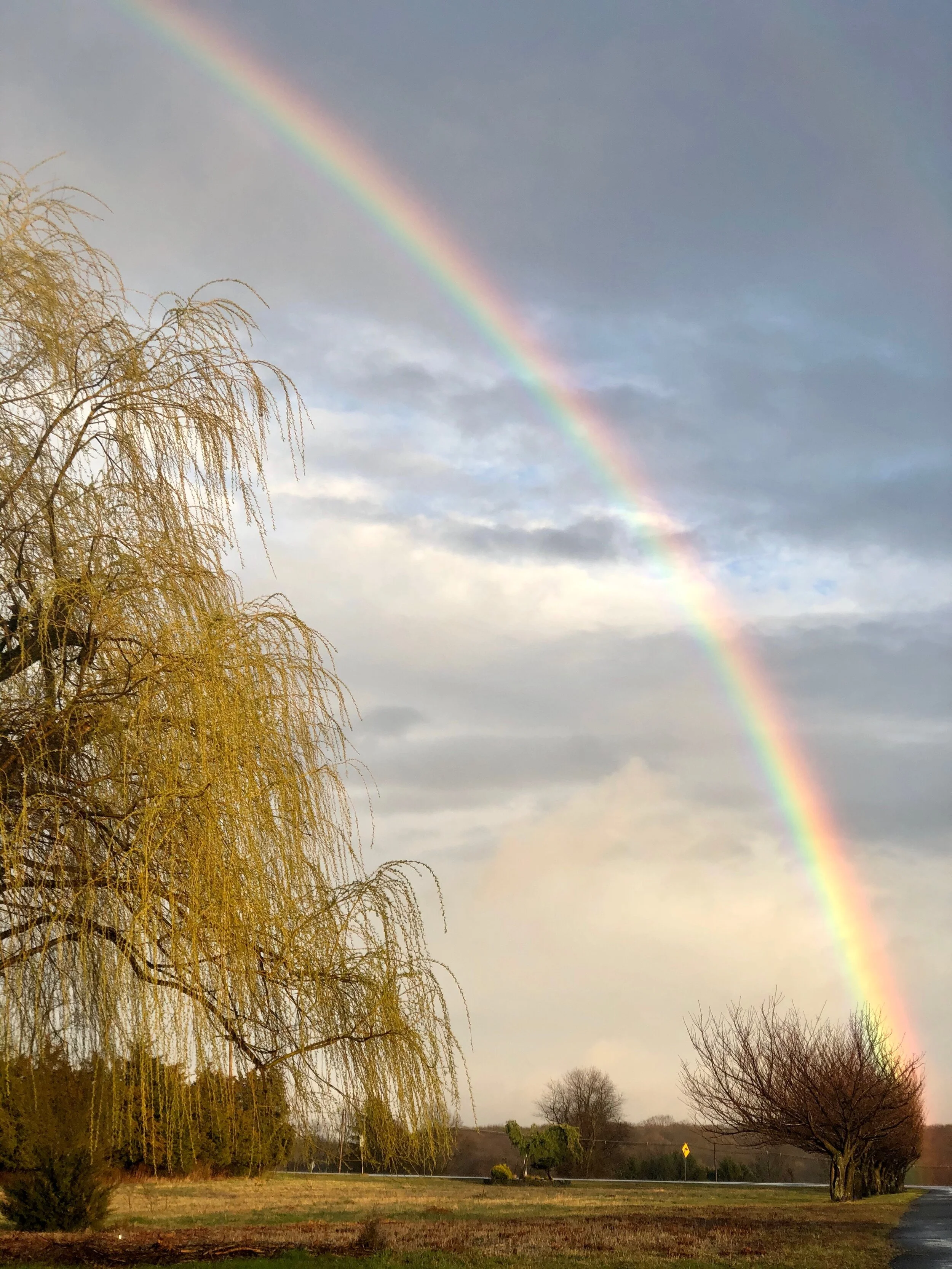 Spring Has Not Been Canceled