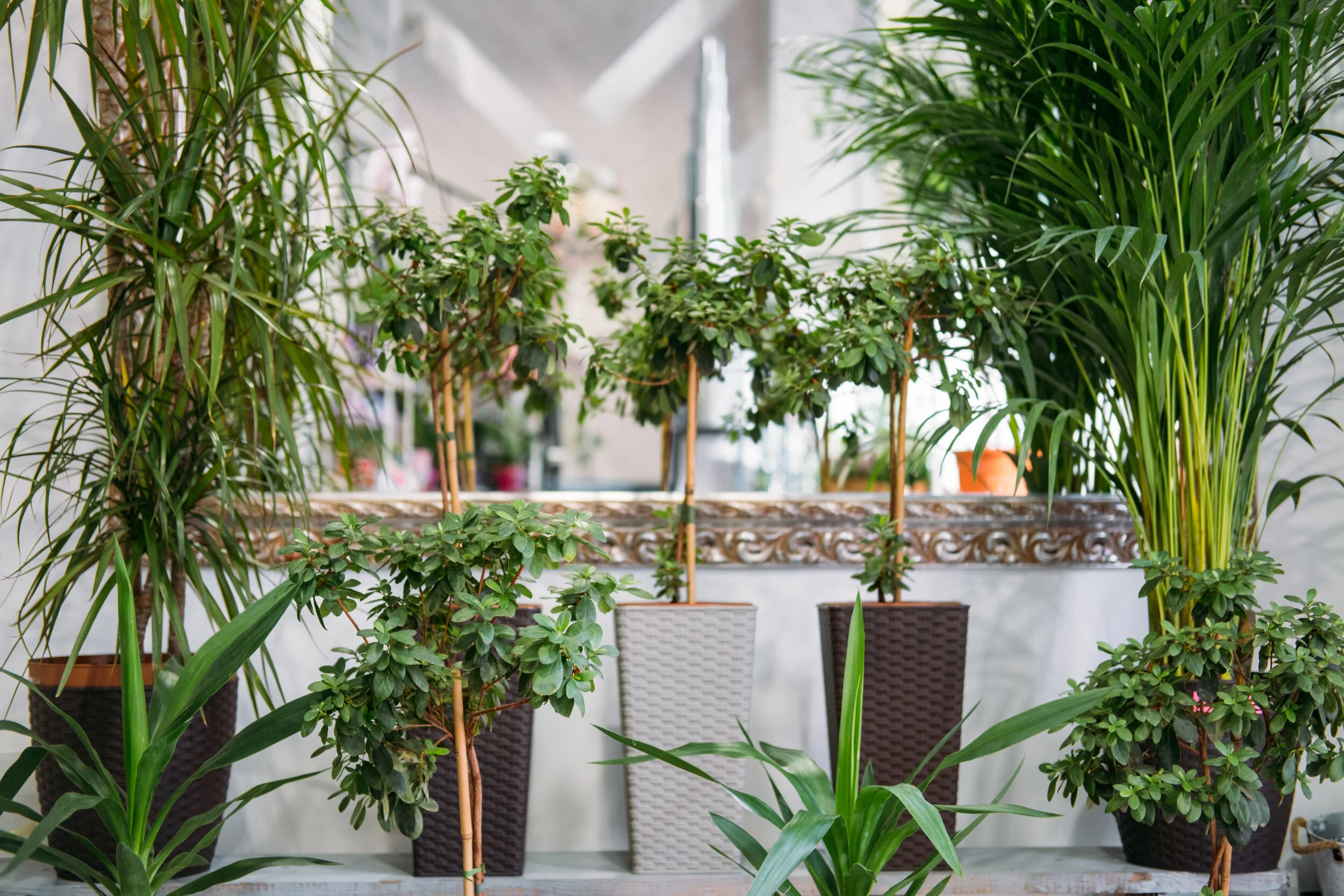 Bringing the outside into the office: Coronavirus bolsters push towards healthier building design