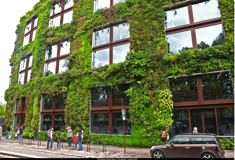 Living Walls: Incredible Environmental Impact with Biophilic Benefits