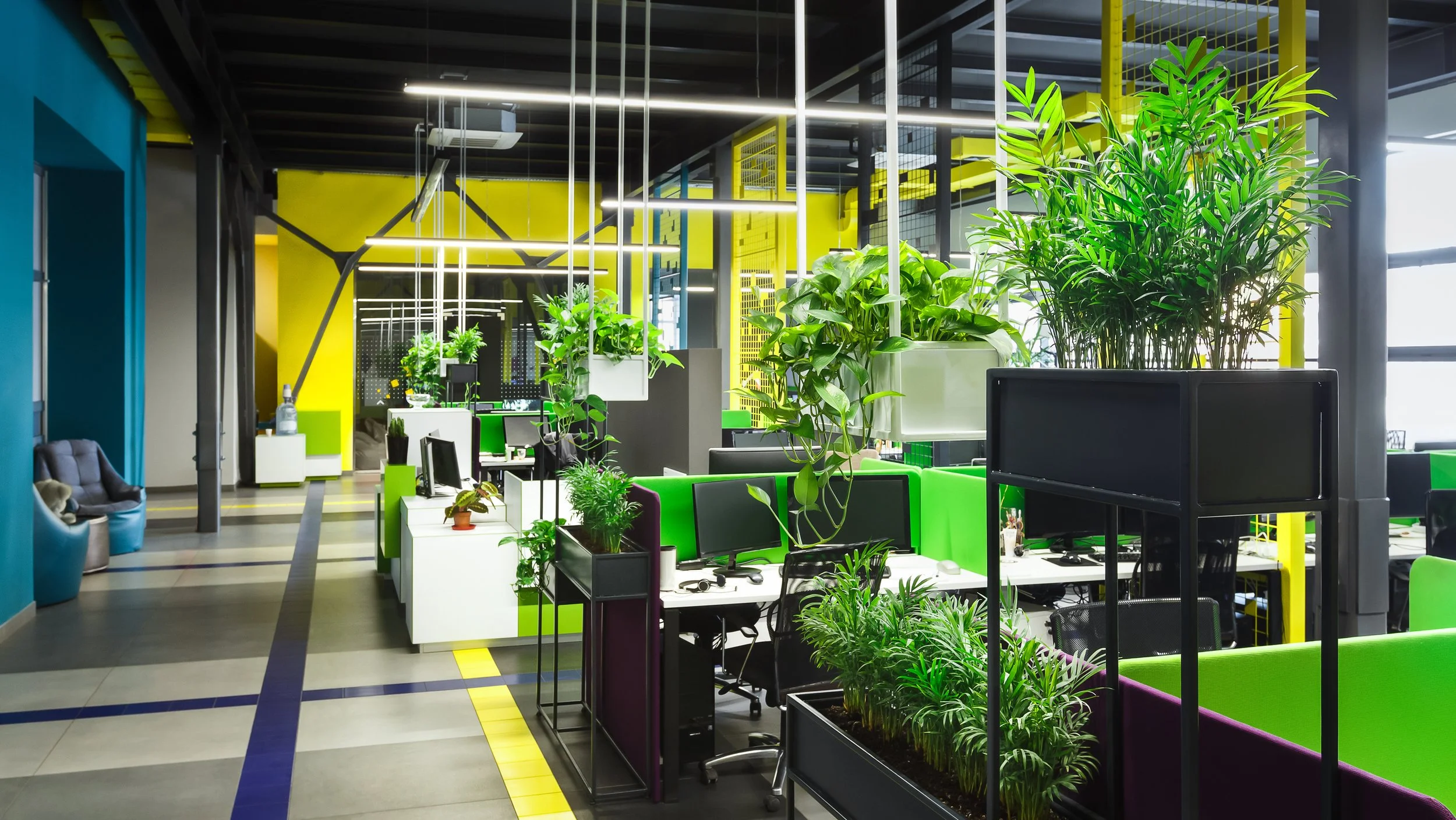 The Power of Plants: Creating a Thriving Post-Pandemic Workplace