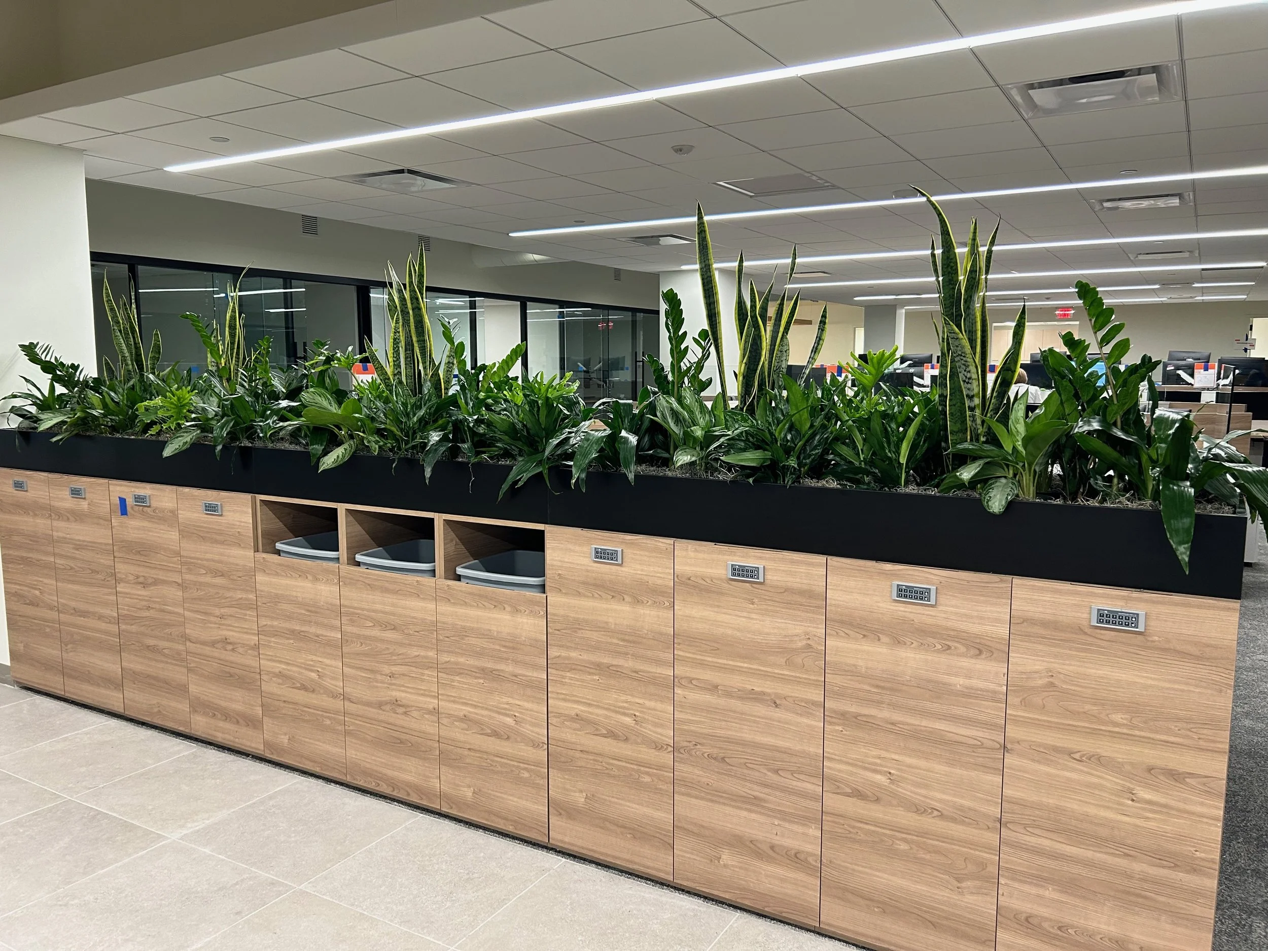 Enhancing Aesthetics and Brand Image with Interior Plants: Workplaces and Multi-Family Residences
