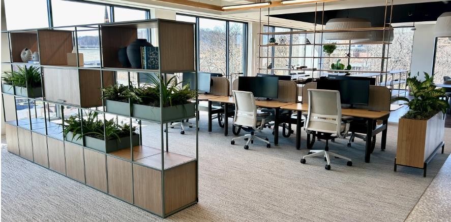 The ROI of Office Plants: Beyond Aesthetics